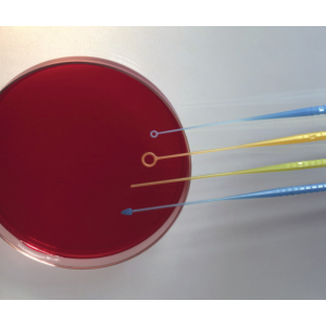 Bacteria Loop Plastic different color